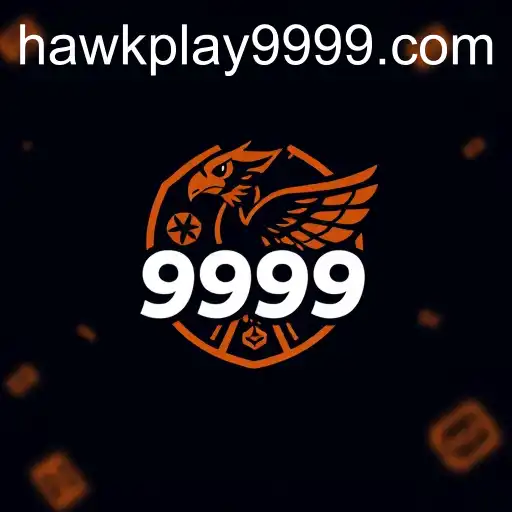Exploring the User Agreement for Hawkplay 999