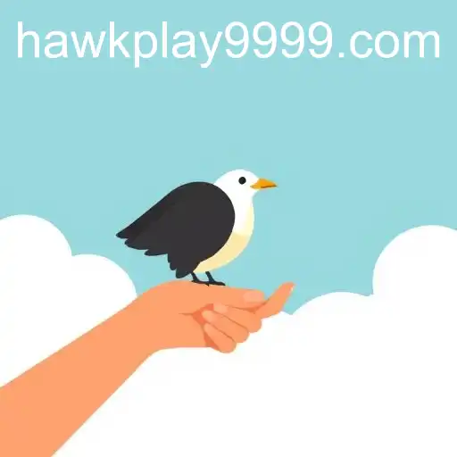 The Intricate World of Jueteng: A Look at Hawkplay 999